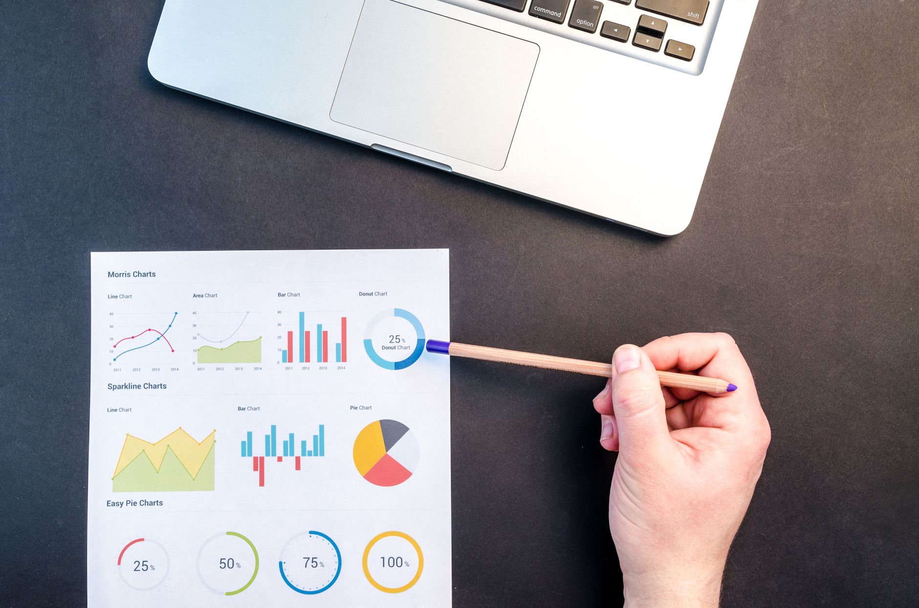 Analyse SEO et croissance pour PME