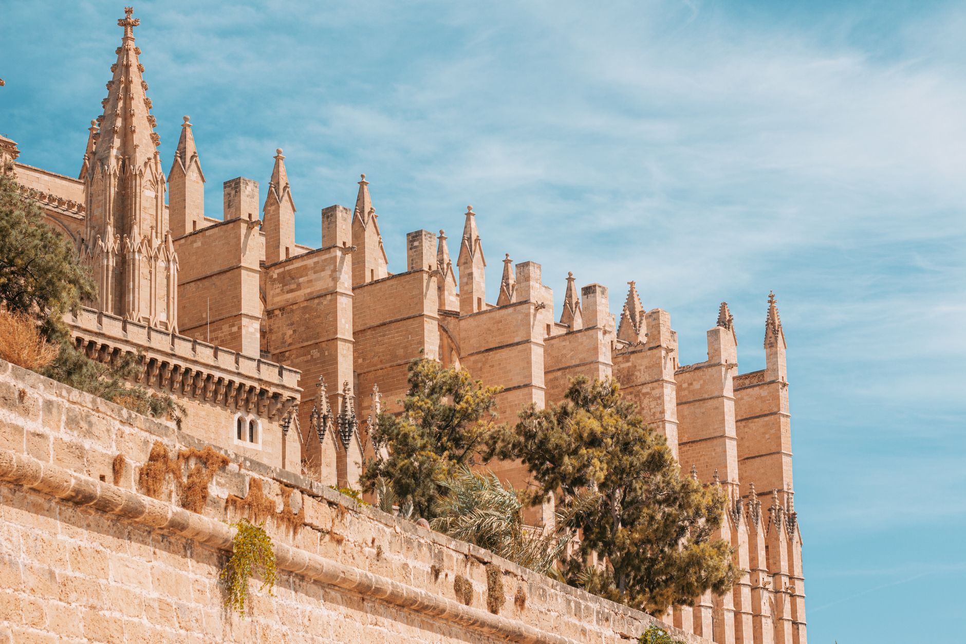 Vista de la catedral de La Seu y el casco histórico de Palma de Mallorca